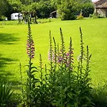 Bed & Breakfast Maison Saint *