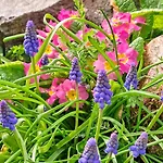 Maison Saint Bed & Breakfast Saulgond