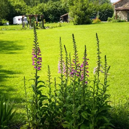 Couette-café Maison Saint *