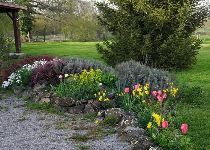 Maison Saint Couette-café *